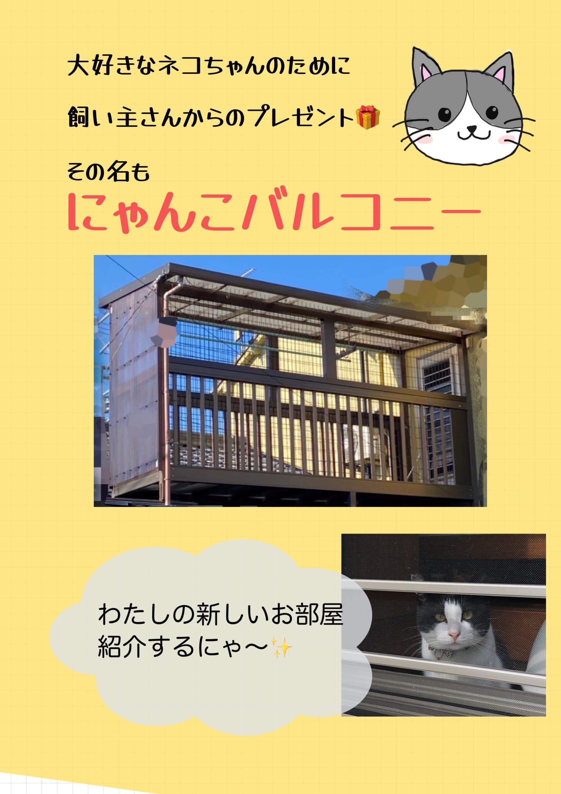 にゃんこ部屋