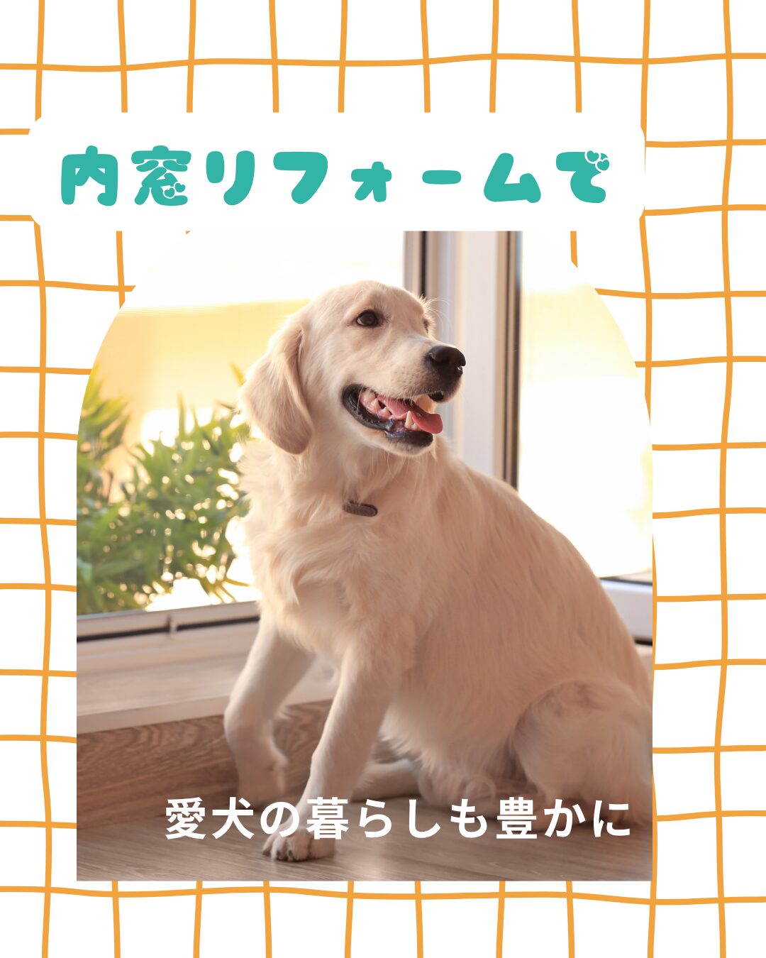 愛犬も家族ももっと快適！