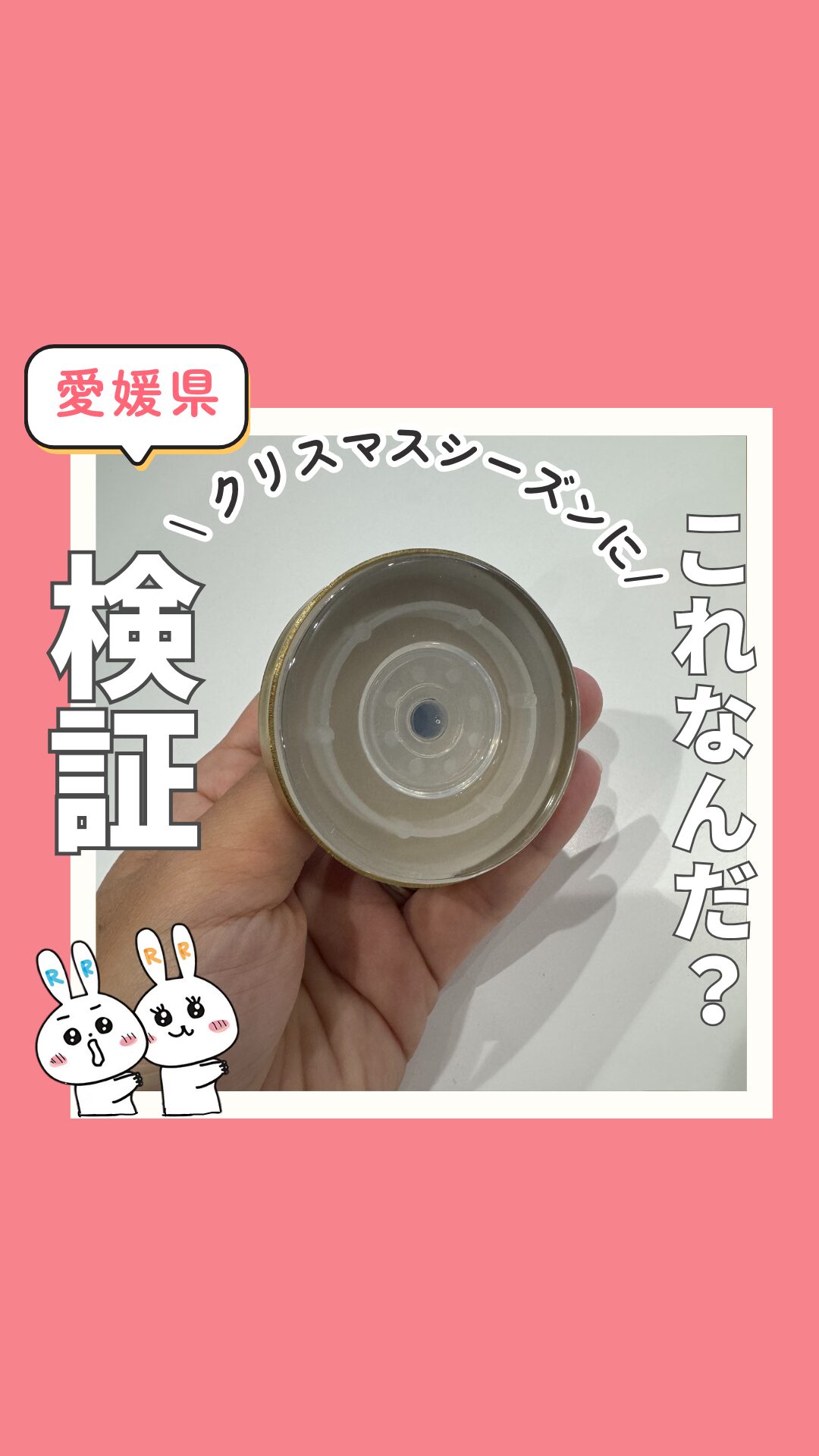 玄関ドアにクリスマスリースを飾りたい！